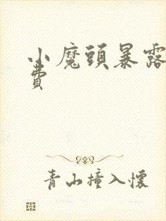 小魔头暴露啦免费