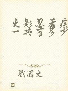 火影忍者疾风传一共有多少集