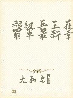 超级兵王在都市罗军最新章节