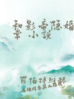 和影帝隐婚的日常 小说