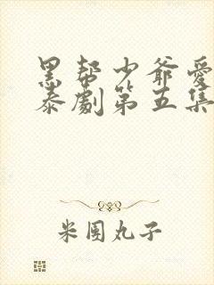 黑帮少爷爱上我泰剧第五集