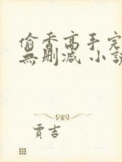 偷香高手完整版无删减 小说