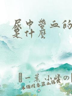 尿中带血的原因是什么