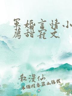 军婚言情小说推荐甜宠文