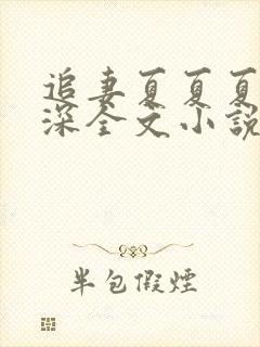 追妻夏夏夏稚霍深全文小说