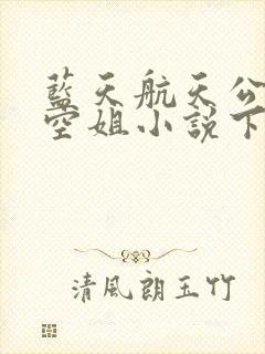 蓝天航天公司的空姐小说下载