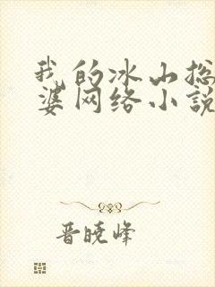 我的冰山总裁老婆网络小说
