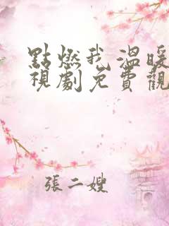 点燃我温暖你电视剧免费观看40集