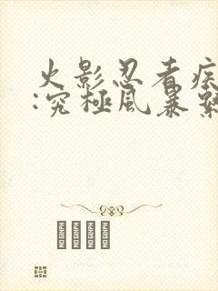 火影忍者疾风传:究极风暴系列