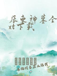 辰东神墓全本txt下载