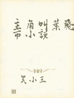 主角叫叶飞的都市小说