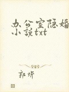 办公室隐婚轻黯小说txt