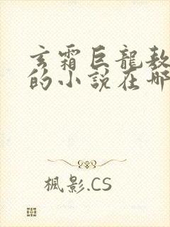 玄霜巨龙敖无极的小说在哪里看