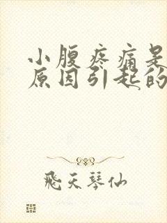 小腹疼痛是什么原因引起的女性