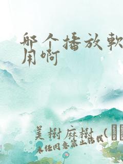 哪个播放软件好用啊