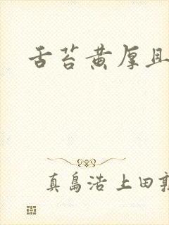 舌苔黄厚且口臭