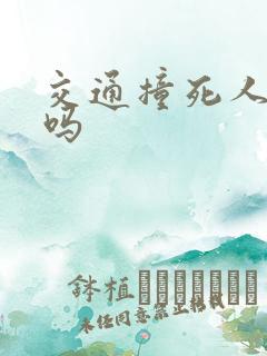 交通撞死人判刑吗