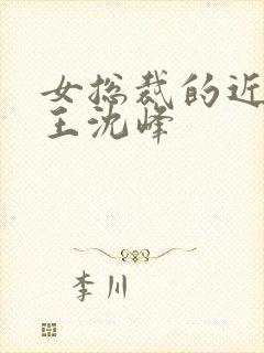 女总裁的近身兵王沈峰