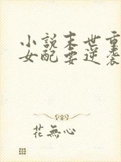 小说末世重生之女配要逆袭