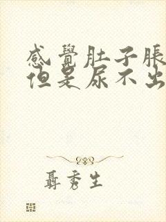 感觉肚子胀有尿但是尿不出来怎么办