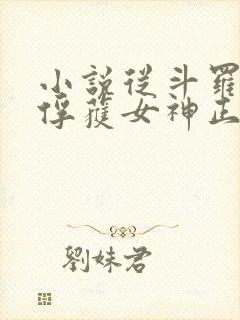 小说从斗罗开始俘获女神正版