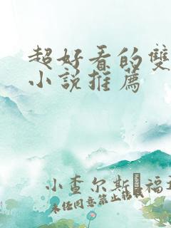 超好看的双男主小说推荐