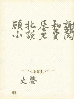 顾北辰和谢宁的小说免费阅读