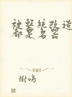 被系统改造全身都是名器