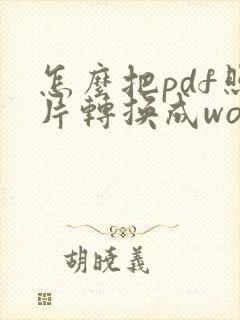 怎么把pdf照片转换成word