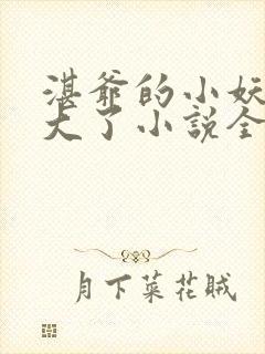 湛爷的小妖精长大了小说全文阅读