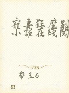 宠妻狂魔别太坏小说在线阅读