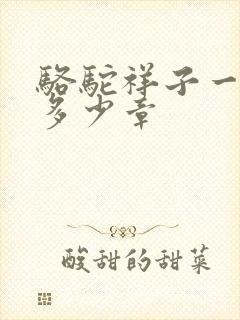 骆驼祥子一共有多少章