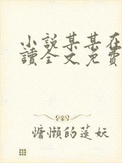 小说某某在线阅读全文免费