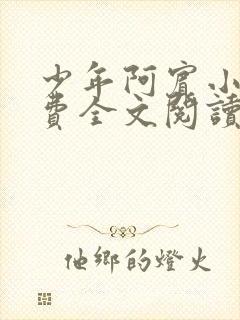 少年阿宾小说免费全文阅读无删减