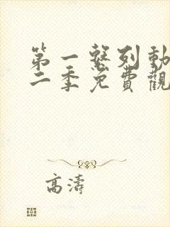 第一系列动漫第二季免费观看