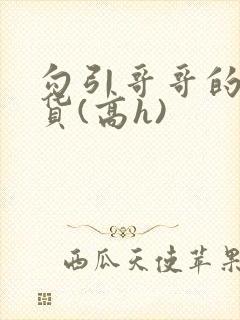 勾引哥哥的小骚货(高h)