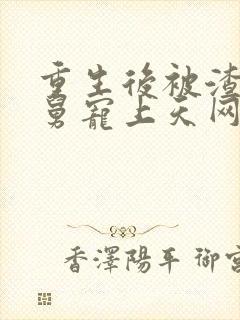 重生后被渣男舅舅宠上天网剧