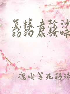 怎样去除沙发上的狗尿骚味儿