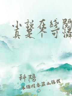 小说在线阅读她真是个可怜的傻子