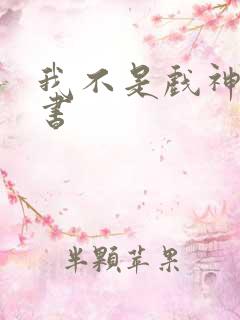 我不是戏神实体书