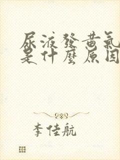 尿液发黄气味大是什么原因