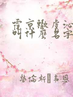 霍京辙虞沁小说叫什么名字
