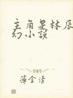 主角是林辰的玄幻小说