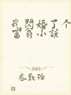 我闪婚了个亿万富翁小说