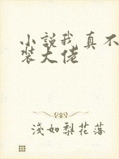 小说我真不是女装大佬