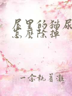 屋里的猫尿味道怎么除掉