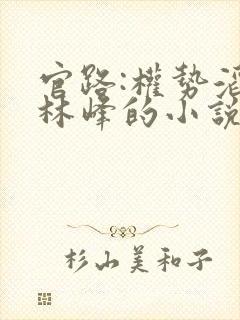 官路:权势滔天林峰的小说