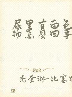 尿里有白色沉淀物怎么回事