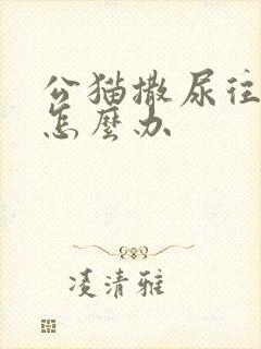 公猫撒尿往后尿怎么办