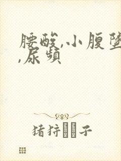 腰酸,小腹坠胀,尿频